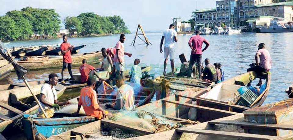 La pêche traditionnelle à Kribi : rencontre avec les pêcheurs locaux